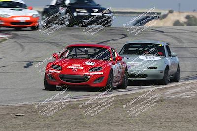 media/Feb-24-2024-CalClub SCCA (Sat) [[de4c0b3948]]/Group 5/Qualifying (Off Ramp)/